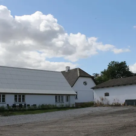 Birkemosegaard *